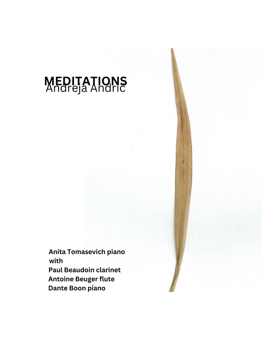 Meditations - Andreja Andric